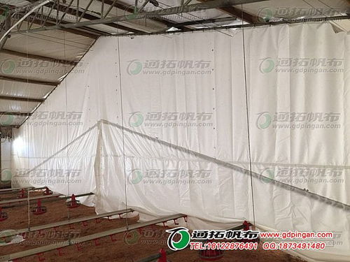 供應配額白色篷布 非織造布,農漁業 紡機網