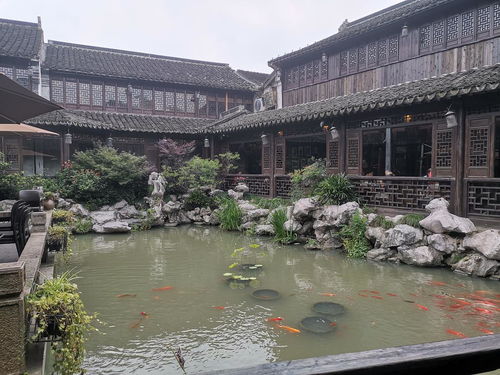 嘉興 江南水鄉(xiāng)的魅力明珠